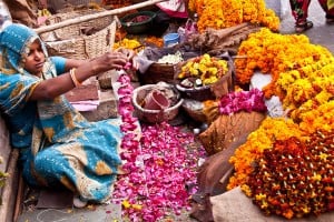 Jaipur flower merchant