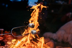 Toasting marshmallows over a campfire