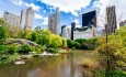 Central Park