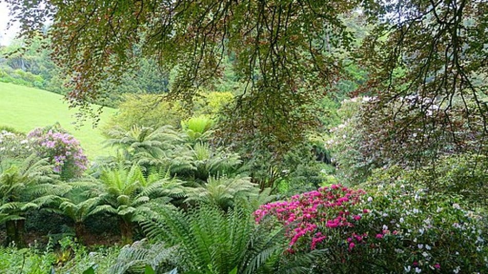 Trebah Garden Cornwall