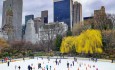 Wollman Ice Rink