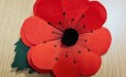 poppy