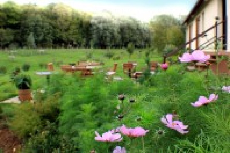 hotel opal coast grounds 20