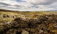 Reykjanes Peninsula lava hike