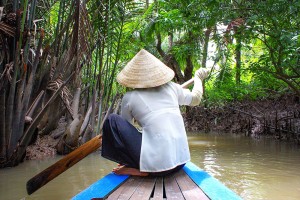 Vietnam mangroves