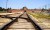 Auschwitz train track