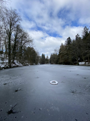 Chateau Baudonniere frozen lake
