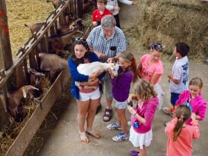 Goats cheese farm