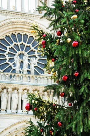 Notre Dame at Christmas
