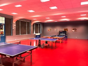 Ping pong room