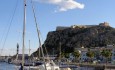 Aguilas quay  arbolar